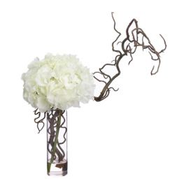 Hydrangea- Curly Willow in Glass Vase White