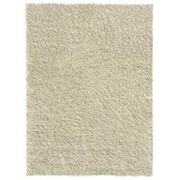 Shaggy Ivory Rug 5'x7'