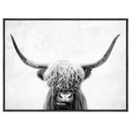 Pancho Wall Art