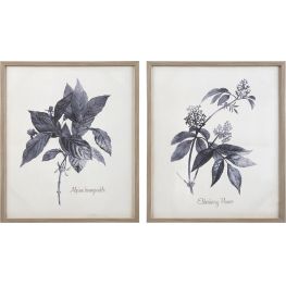 Efren Wall Art Set