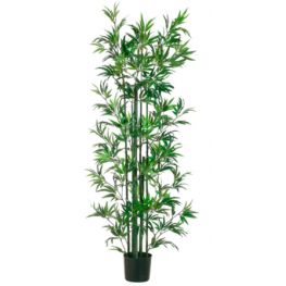 6'Bamboo Tree In Pot